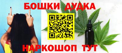 дурь Шелехов