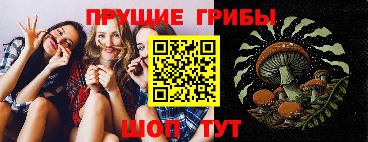 Выборг  Псилоцибиновые грибы Psilocybine cubensis  Вход с VPN  Псилоцибиновые грибы прущие грибы 